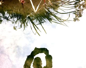 Low angle view of camera on tree against sky