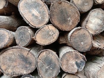 Full frame shot of logs in forest