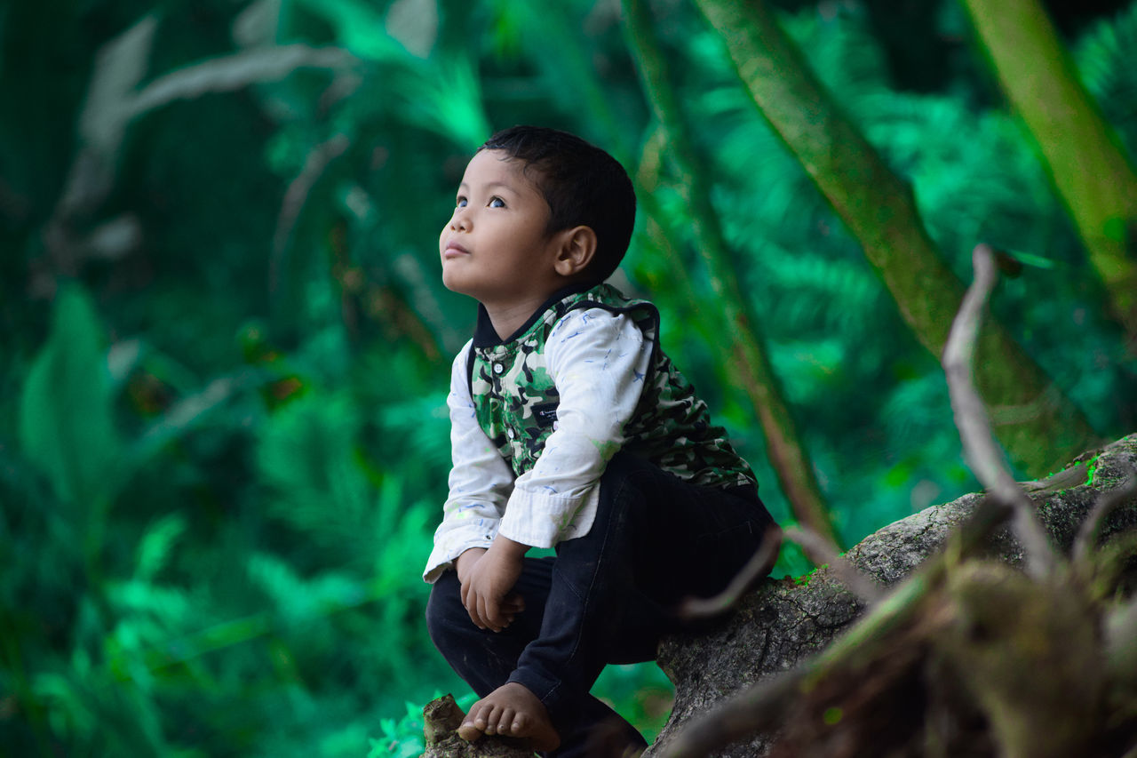 childhood, green, child, one person, forest, jungle, tree, nature, cute, land, plant, looking, natural environment, men, outdoors, innocence, woodland, emotion, environment, exploration, casual clothing, toddler, full length, lifestyles, leisure activity, person, looking up, looking away, baby, animal