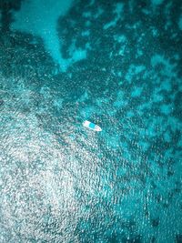 High angle view of boat on sea 