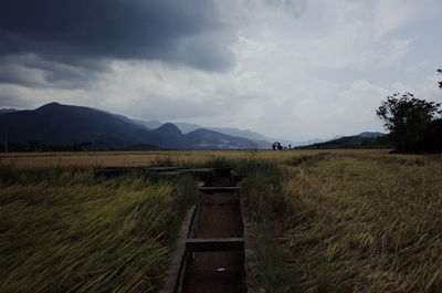 Scenic view of field against sky