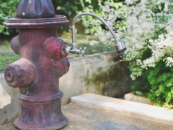 Close-up of fire hydrant