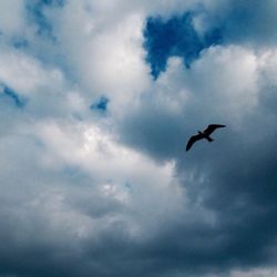 Low angle view of bird flying against cloudy sky