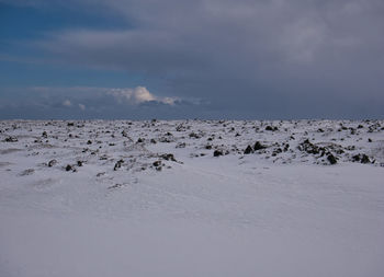 Flock of snow covered land against sky