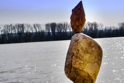 Close-up of snow on tree against sky