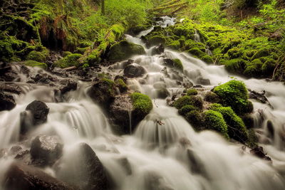 River flowing through rocks