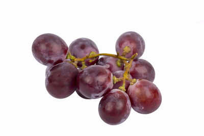 Close-up of fruits on white background