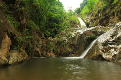 Scenic view of waterfall in forest