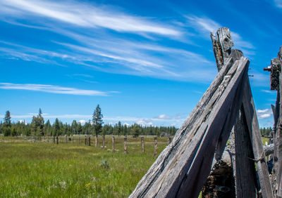 Scenic view of grassy landscape against sky