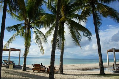Palm trees on beach against sky