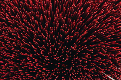 Full frame shot of illuminated red flower