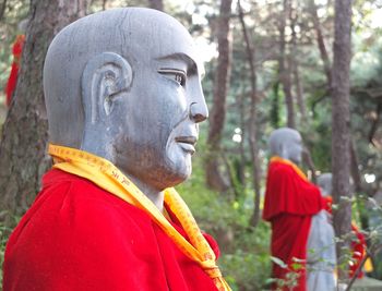 Close-up of statue against trees