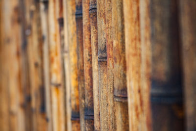 Bamboo fence out of focus