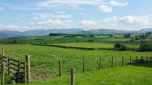 Scenic view of agricultural field against sky