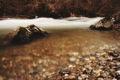 Scenic view of water