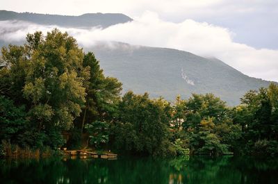 Scenic view of lake by trees against sky