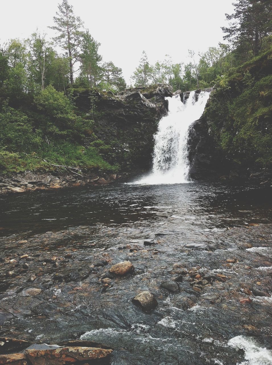 water, tree, waterfall, flowing water, motion, beauty in nature, scenics, nature, flowing, forest, rock - object, tranquility, tranquil scene, long exposure, day, idyllic, non-urban scene, growth, outdoors, no people