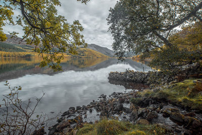 Scenic view of lake by trees against sky