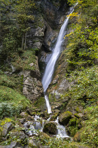 Scenic view of waterfall in forest