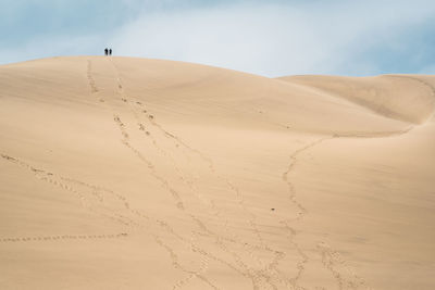 Sand dunes in desert against sky