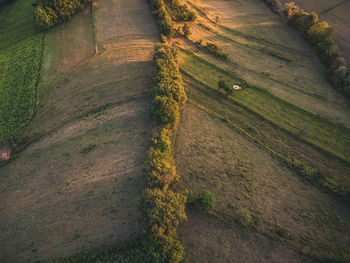 High angle view of landscape