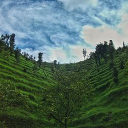 Low angle view of green landscape against blue sky