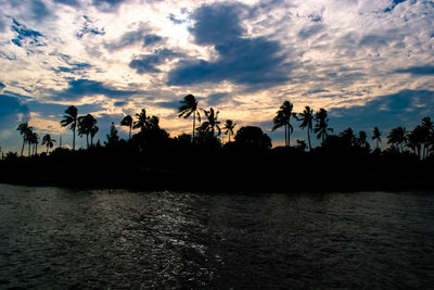 Silhouette trees against sky at sunset