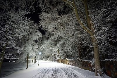 Snow covered road amidst trees during winter