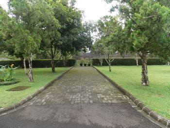 Footpath amidst trees in park