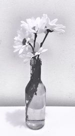 Close-up of flower vase on table