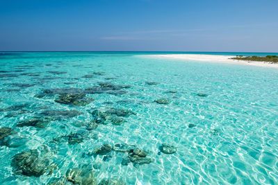 Scenic view of sea against blue sky