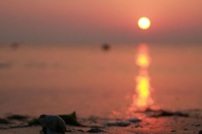Close-up of orange on beach against sky during sunset