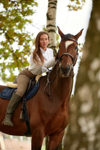 Close-up of horse standing outdoors