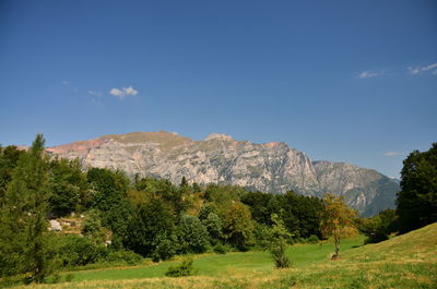 Scenic view of trees and mountains against clear sky