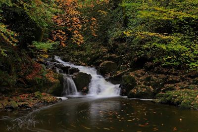 Idyllic view of waterfall in forest during autumn