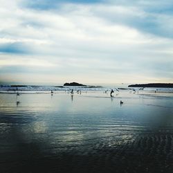 Scenic view of sea against sky