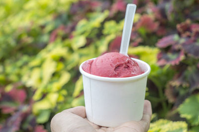 Midsection of person holding ice cream