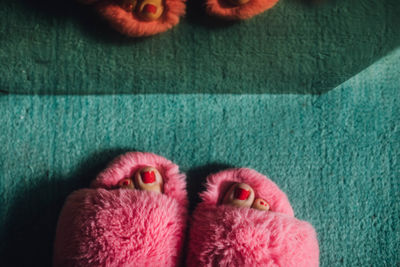 Feet with red painted toenails in pink furry fuzzy slippers against teal carpet