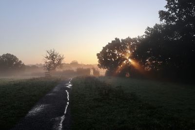 Trees on field against sky during sunset