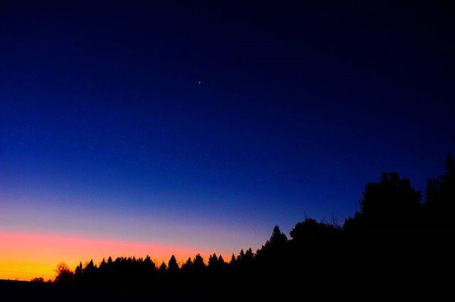 silhouette, tree, tranquil scene, tranquility, scenics, sunset, beauty in nature, copy space, nature, blue, sky, idyllic, clear sky, dusk, low angle view, landscape, dark, outdoors, outline, no people