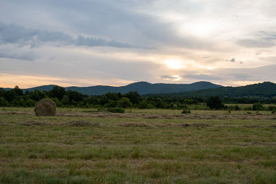 Harvested hay field during sunset