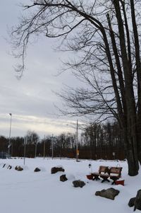 Bare trees on snow covered landscape