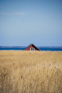 Grassy field by lake against sky