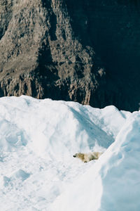 Scenic view of snow covered mountain