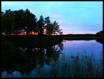 Reflection of trees in lake