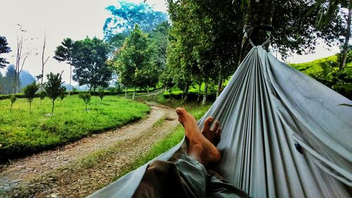 Low section of man relaxing on hammock