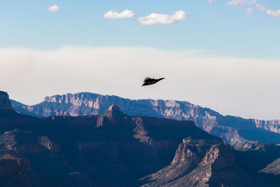 Bird flying over mountain range against sky