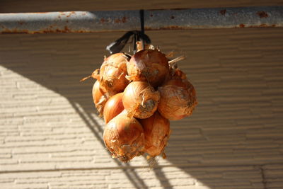 Close-up of onions hanging against wall