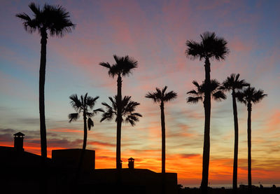 Silhouette palm trees against sky at sunset