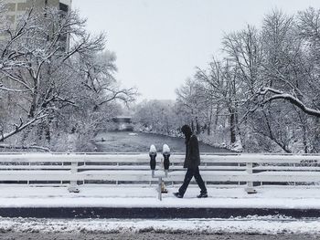 Bare trees on snow covered landscape